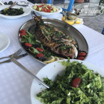 фото из отзыва ID 1881487