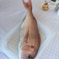 фото из отзыва ID 1881487