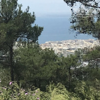 фото из отзыва ID 1881487