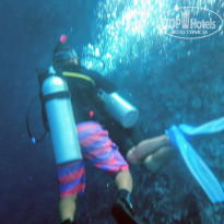 фото из отзыва ID 1881554