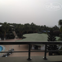 фото из отзыва ID 1881661