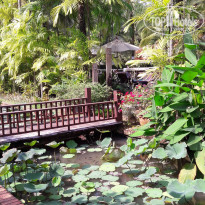 фото из отзыва ID 1881475