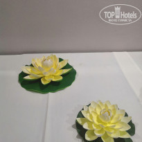 фото из отзыва ID 1881727