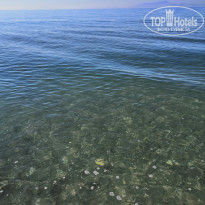 фото из отзыва ID 1881727