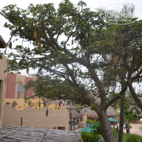 фото из отзыва ID 1881752