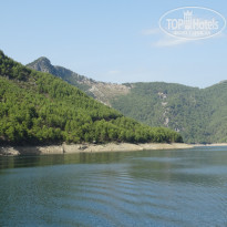 фото из отзыва ID 1881696