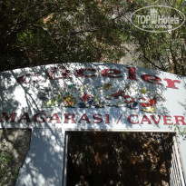 фото из отзыва ID 1881696