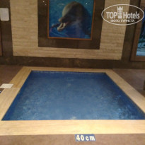 фото из отзыва ID 1881853