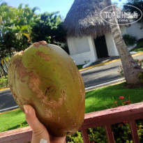 фото из отзыва ID 1881855