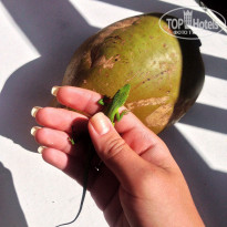 фото из отзыва ID 1881855