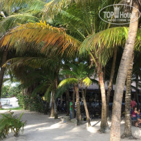 фото из отзыва ID 1881855