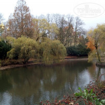 фото из отзыва ID 1881869