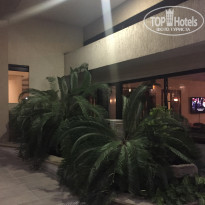 фото из отзыва ID 1882029