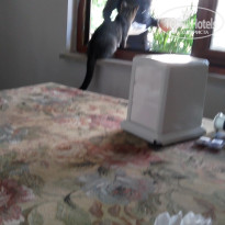 фото из отзыва ID 1882119