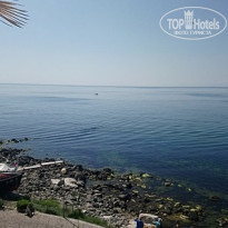 фото из отзыва ID 1882250