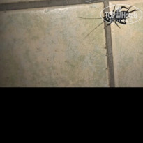 фото из отзыва ID 1882334