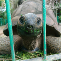 фото из отзыва ID 1882336