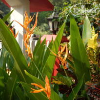 фото из отзыва ID 1882618