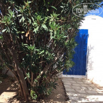 фото из отзыва ID 1882640