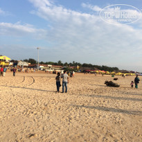 фото из отзыва ID 1882714