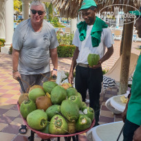 фото из отзыва ID 1882776