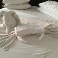 фото из отзыва ID 1882781