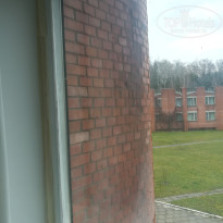 фото из отзыва ID 1883022