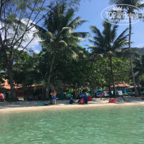 фото из отзыва ID 1881341