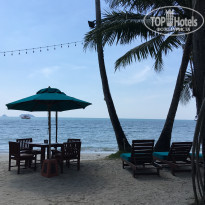 фото из отзыва ID 1881341