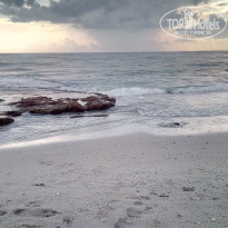 фото из отзыва ID 1883201