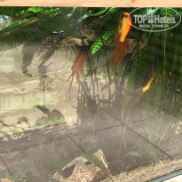 фото из отзыва ID 1883208