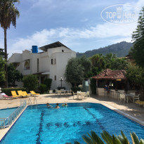 фото из отзыва ID 1883231