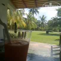 фото из отзыва ID 1883428