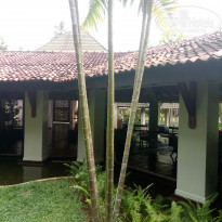 фото из отзыва ID 1883428