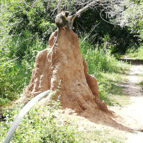 фото из отзыва ID 1883554