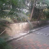 фото из отзыва ID 1883608