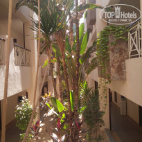 фото из отзыва ID 1883633