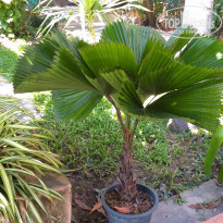 фото из отзыва ID 1883694