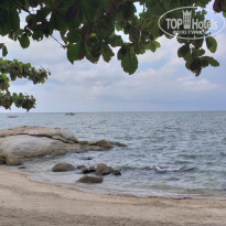 фото из отзыва ID 1883694