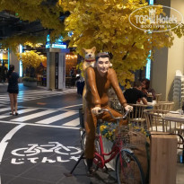 фото из отзыва ID 1883694