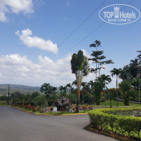 фото из отзыва ID 1883842