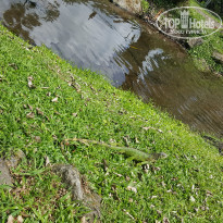 фото из отзыва ID 1883842