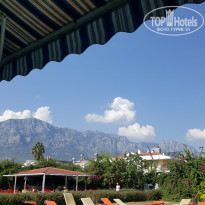 фото из отзыва ID 1883992