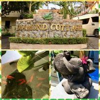 фото из отзыва ID 1884053