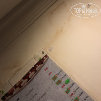 фото из отзыва ID 1884090