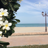 фото из отзыва ID 1884147