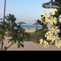 фото из отзыва ID 1884147