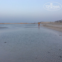 фото из отзыва ID 1884147