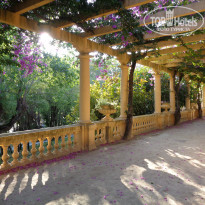 фото из отзыва ID 1883988