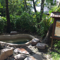 фото из отзыва ID 1884273